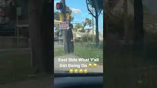 Atlanta Eastside Kirkwood zone 6