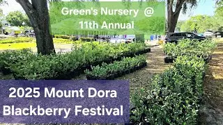 Basic Blueberry Plant Instructions Preparation For 11th Annual Mount Dora Blueberry Festival