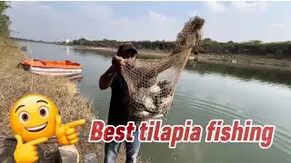 #shaik thayab fishing 🎣||tilapia fishing||singh ka shikar||best tilapia fishing||subscrie for more 🐠