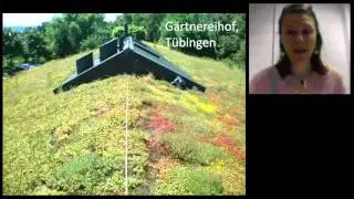 Vegetation Development on Extensive Green Roofs Over Time by Christine Thuring