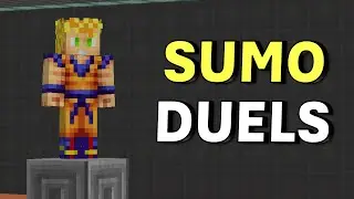 Sumo Duels in 2025