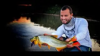 Dourados no Flyfishing em Piracicaba, Everton Pires