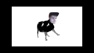 Polish Kalle