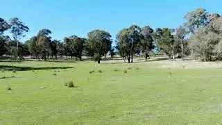 Lot 4 Cuddyong Road, Binda