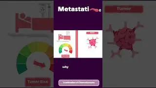 How Cisplatin Works 💥🧪 | The Power Behind Chemotherapy 💊