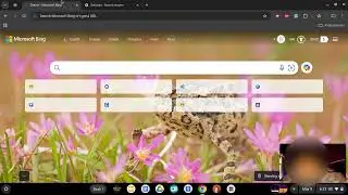 How I Changed the Search Engine on My School Chromebook (New Method?)