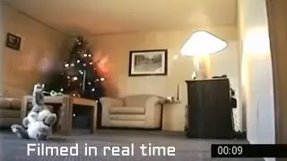 Christmas Tree Fire Safety - Warwickshire Fire and Rescue Service