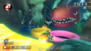 Input Viewer | Dolphin Shoals [150cc] - 1:53.465 - Rammstein