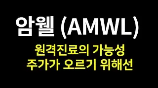 암웰 (AMWL) 원격 진료 시장의 가능성, 주가가 오르기 위해선 (ep1)