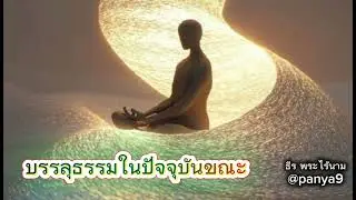 บรรลุธรรมในปัจจุบันขณะ#ธีร พระไร้นาม#ชาติสุดท้าย