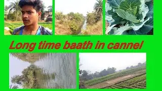 long time baath in cannel#with friends#village_vlog#saraswatipuja_din#enjoy#birth_time_rectification