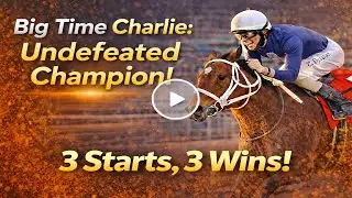 Big Time Charlie: 3 Starts, 3 Wins - Unstoppable Thoroughbred Racing Champion! @horseracesinfo