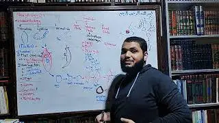 paracytology 2