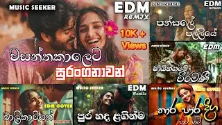මේ ටිකේ නිතර ඇහෙන EDM එකදිගට අහන්න | Hit EDM Songs Collection by MUSIC SEEKER