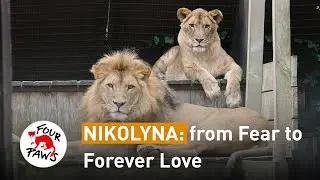 Nikolyna: from Fear to Forever Love