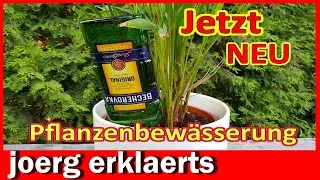 ✅ URLAUB - Blumen Pflanzen Bewässerung im Urlaub oder bewässern für faule Leute DIY Tutorial No.351