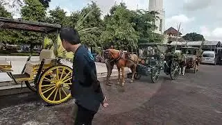 Andong Hias