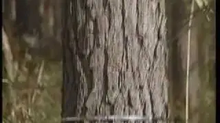 Master Tree Farmer - 2007 - Part 1