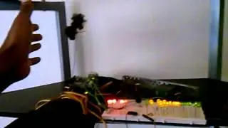 Blacklotus Exoskeleton Killuminatus Build Project emf sensor with my hair