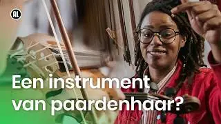 Hoe wordt een strijkstok gemaakt? I DZDZ
