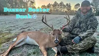 Old Late Season Georgia Buck| Morning Food Plot Buck | Historic Late Season Spot
