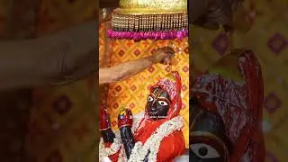 Radhe Radhe | Prakatya Utsav | Shri Govind Dev Ji Jaipur | 2 February 2025