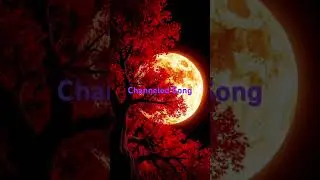 Channeled Song From DM. #shorts #twinflame #reunion #currentenergy #dmtodf #twinflameunion #soul