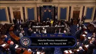 US Senate rejects gun background check measure