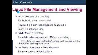 Managing Files and Directories in Linux Command line