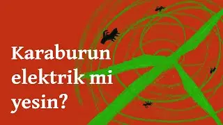 'Karaburun elektrik mi yesin?'