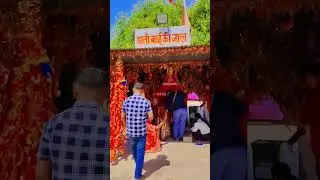 डाली बाई की जाल #RamdevraDham#RunechaDham#BabaRamdevji#RamdevraYatra#RamdevraDarshan#JaiRamapir