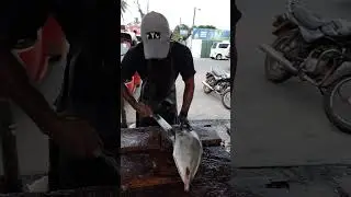 Live Trevally Fish Cutting | nice cutting for BBQ