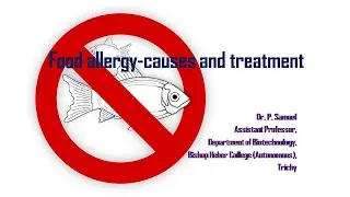 Understanding Food Allergies: Causes, Symptoms, and Treatment Options