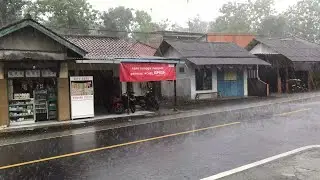 Super Heavy Rain Weather in Rural | Calming Rainy Atmosphere | ASMR Rain Sounds for Sleeping