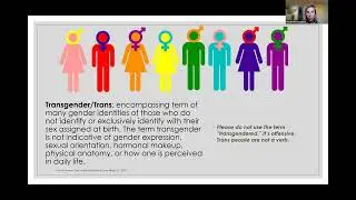 Supporting Gender-Diverse Youth through Trauma Informed Practices