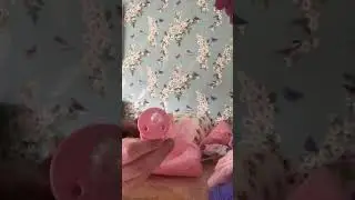 Silicone monkey box opening ❤️