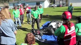 Managing the head of a prone horse