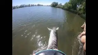 7/5/22 go pro swimming with iceman. Egin lake st Anthony Idaho. Pt 2