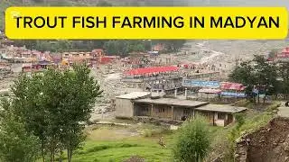 MADYAN TROUT FISH FARM | SWAT | NORTHERN AREAS | PAKISTAN 