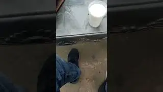 rajputana short status video ###rajput status