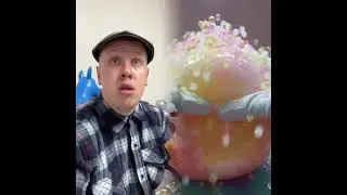 🤣👌👌👌2026 pov Must-Watch Crazy Clips Compilation #humor #fypシ #pov #fyp #foryou 😍😜 