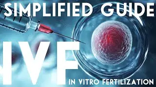 How IVF Really Works: Hormones, Timing & What Your Body Is Doing