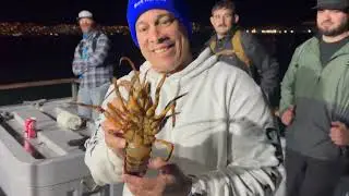 Buggin out 2 Lobster Catching aboard the Island Fox Sportfishing