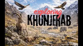 Khunjerab National Park | Pakistan&rsquo;s Roof of the World | Wildlife & Scenic Beauty