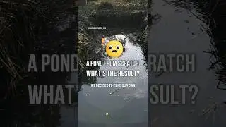 HOW TO BUILD A POND FROM SCRATCH? WHAT THE RESULT FOR TODAY