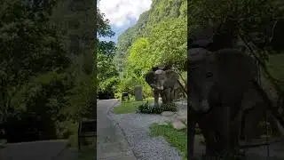 lost world 🌎 in ipoh Malaysia so beautiful 😍