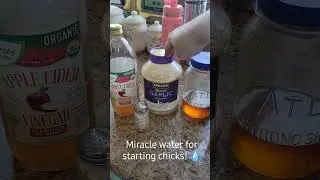 Miracle water for getting chicks needed electrolytes! Acv, salt, garlic, and honey!