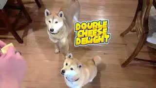 Ritual of Cheese