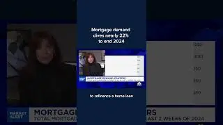 Mortgage demand dives nearly 22% to end 2024