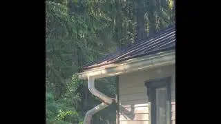 auringon paiste h&ouml;yryst&auml;&auml; vett&auml; peltikatosta